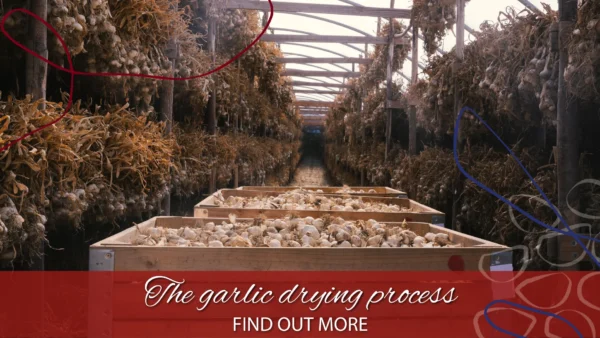 copertina essiccazione