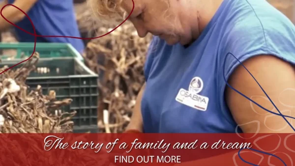 copertina storia sabina