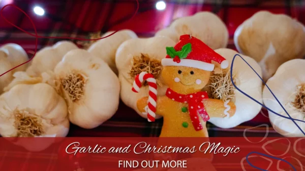 copertina magia natale