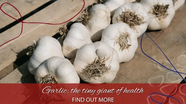 copertina benefici aglio