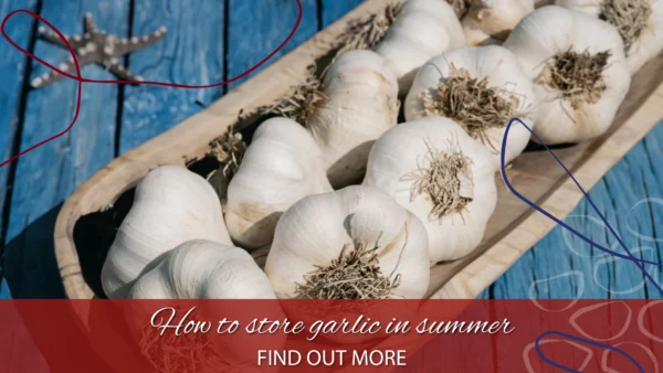 copertina conservazione aglio estate