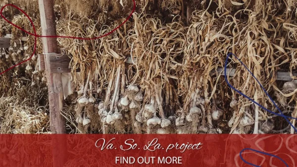 copertina progetto vasola