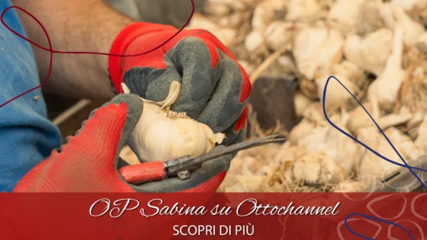 copertina comunicato ottochannel