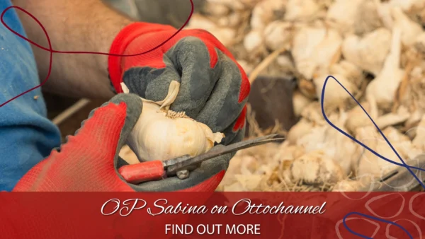 copertina comunicato ottochannel