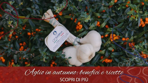 copertina blog aglio autunno