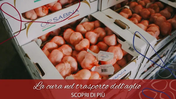 copertina blog trasporto aglio