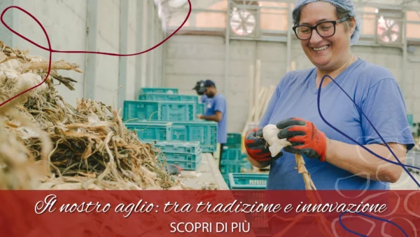 copertina aglio innovazione e tradizione