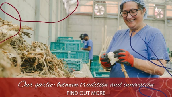copertina aglio innovazione e tradizione