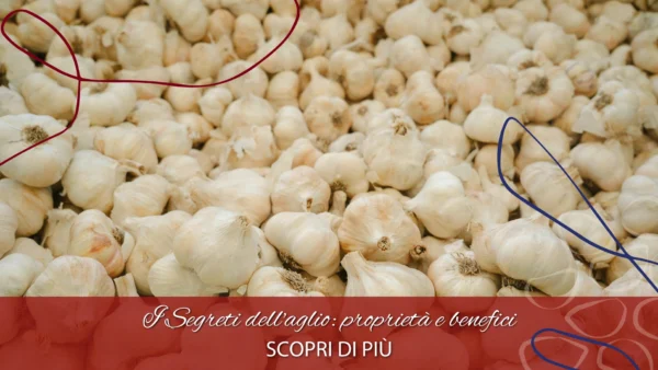 copertina sabina agio benefici – 2