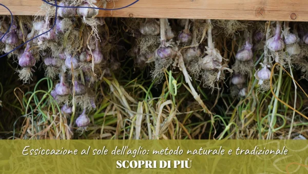 essiccazione copertina